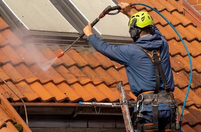 Démoussage et hydrofuge de toiture à Pessan